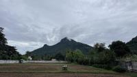 A view of Arunachala from the Temple